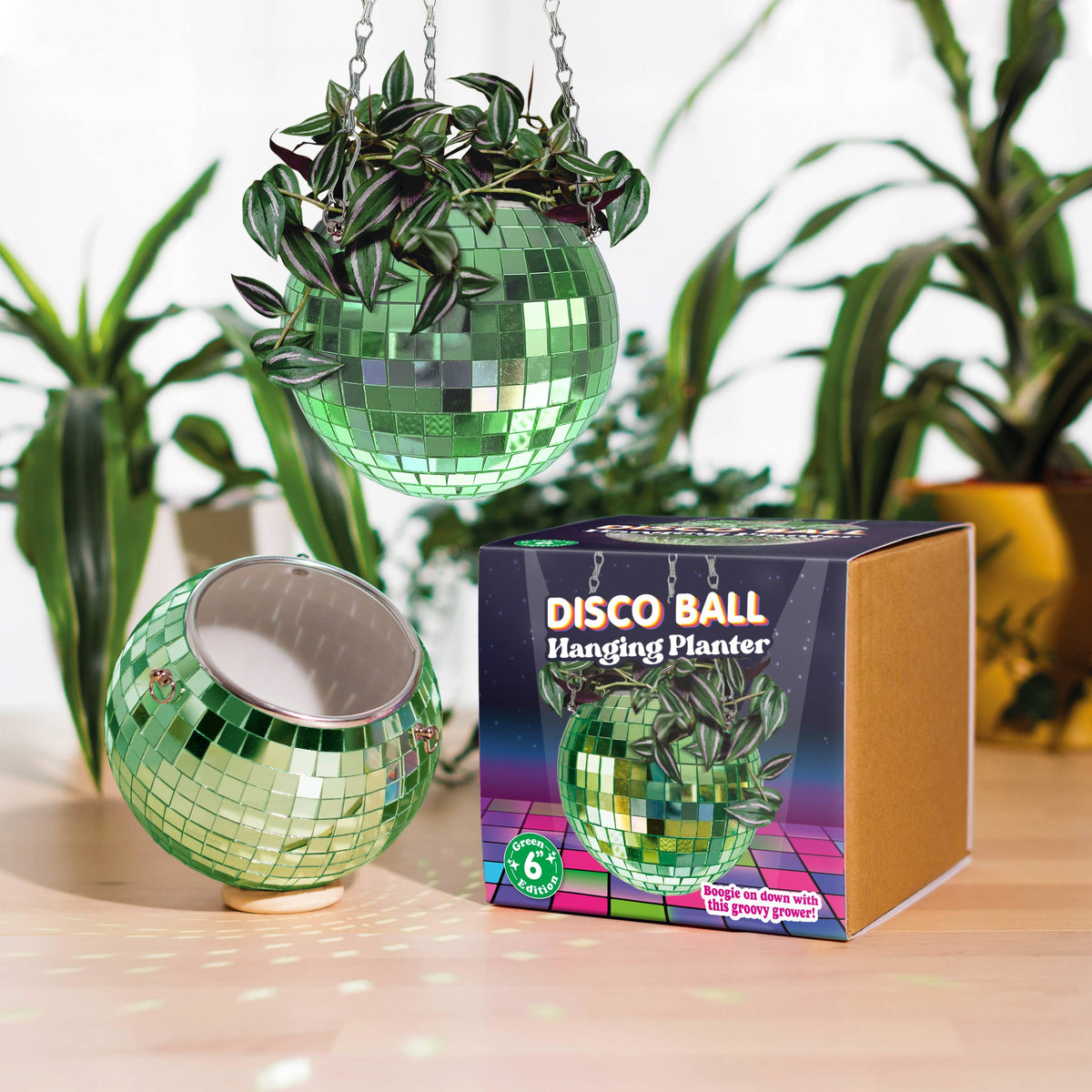 Disco Ball Hanging Planter: Green (6-inch) – Leaf & Moss