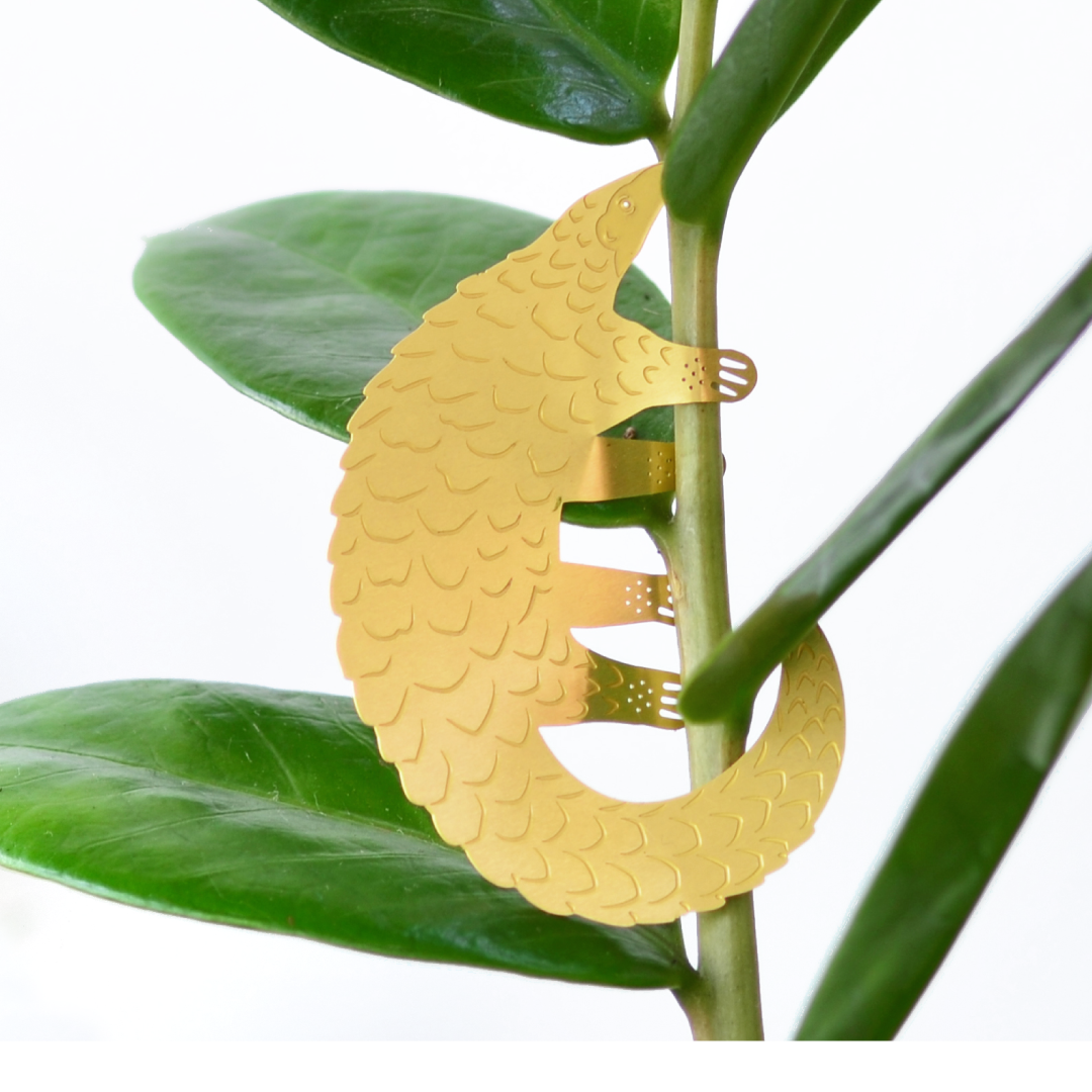 Plant Animal - Pangolin, houseplant decoration  Leaf & Moss