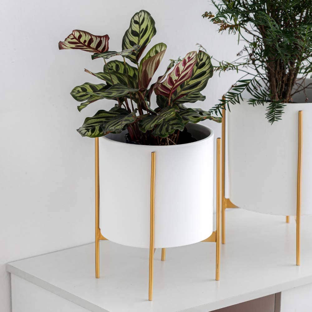 8 inch plant pot with stand 8" Ceramic Planter with Stand – Leaf & Moss