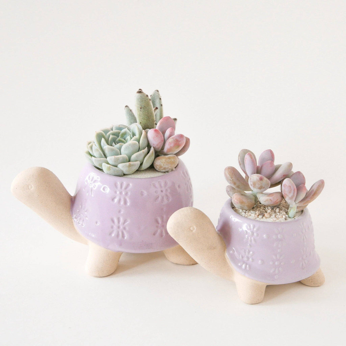 cute small succulent pots Turtle Planter