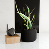 ORBIS Planter: Natural Wood / 4 Inches