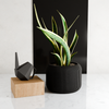 ORBIS Planter: Natural Wood / 5 Inches