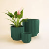 Monroe Planter - Rainforest: 3 inch