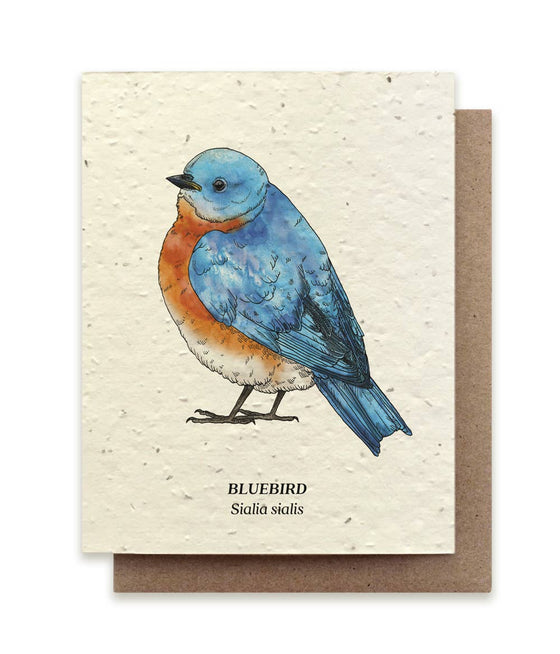 Bluebird Plantable Wildflower Seed Card: Glassine Sleeves