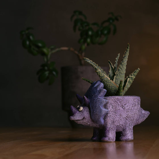 Purple triceratops dinosaur planter with a succulent plant on a wooden surface.