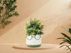 Lg Face Planter w/Glasses-6"D-1497