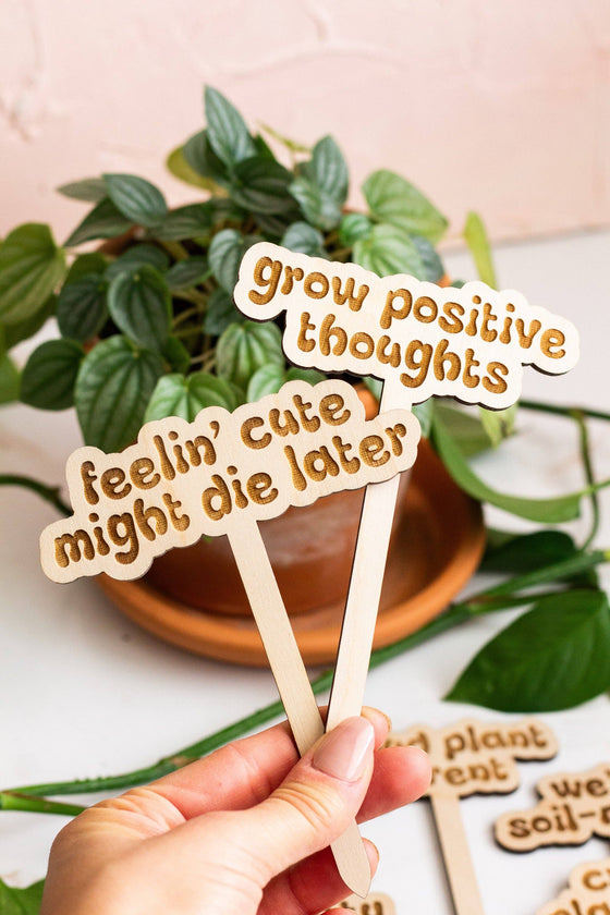 Retro Funny Wooden Plant Markers: Crazy plant lady