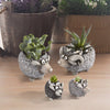 The Ramsey's, 4pc Sheep Family Blobhouse Planters