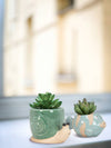 Mini Snail Planter-Turquoise-2.5"H