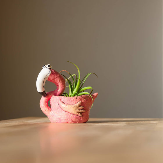 fiona flamingo mini palm plant Fiona Flamingo Blobhouse Planter