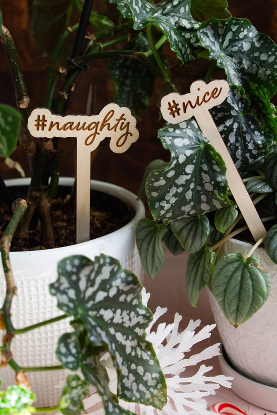 Funny Christmas Wooden Plant Markers: Merry Christmas Bitch