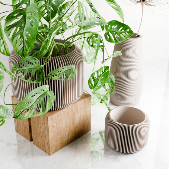 ORBIS Planter: Muted Green / 5 Inches