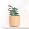 Plant Snake Stake: Ivory + Terracotta / Medium