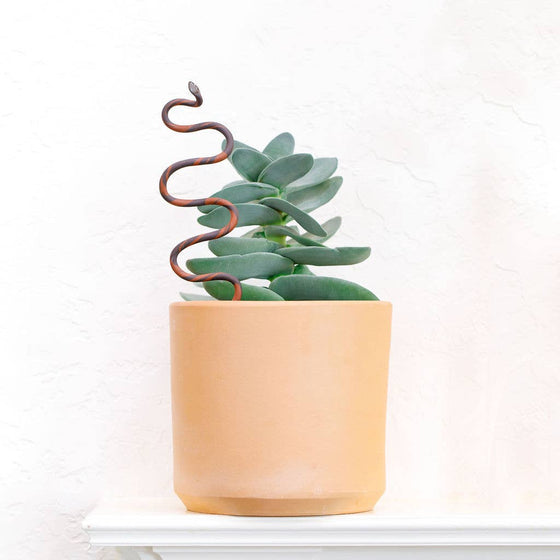 Plant Snake Stake: Sand + Terracotta / Medium