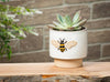 Md Single Emboss Bee Planter-4" H