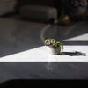 Baby Barney Mini Blobhouse Planter
