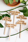 Retro Funny Wooden Plant Markers: Crazy plant lady