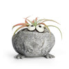 Romeo Mini Frog Blobhouse Planter