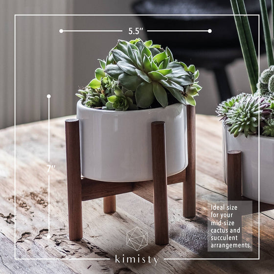 5 Inch Ceramic Succulent Planter with Wood Stand