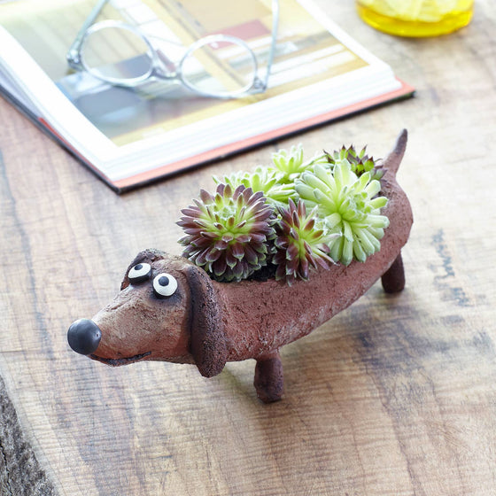 Dobby Doxin, Dog Blobhouse Planter
