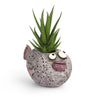 Twyla Karp Fish Blobhouse Planter