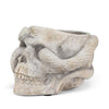 Small Skull Planter with Snake-4.5"H