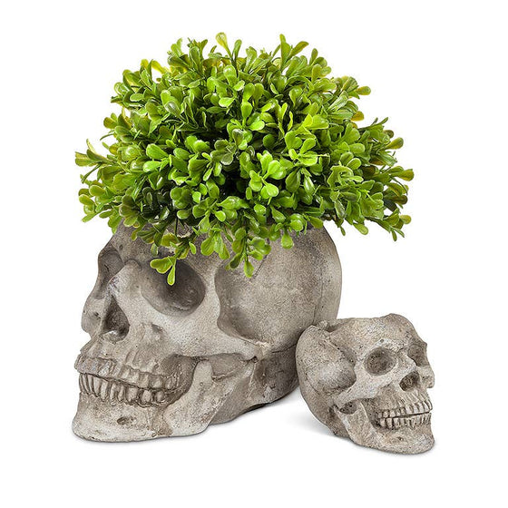 Sm Skull Planter/Tealite Holder-3"H