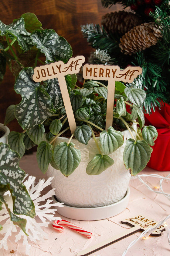 Funny Christmas Wooden Plant Markers: On the nice list