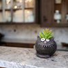 Black Cat - Reggie - Blobhouse Planter