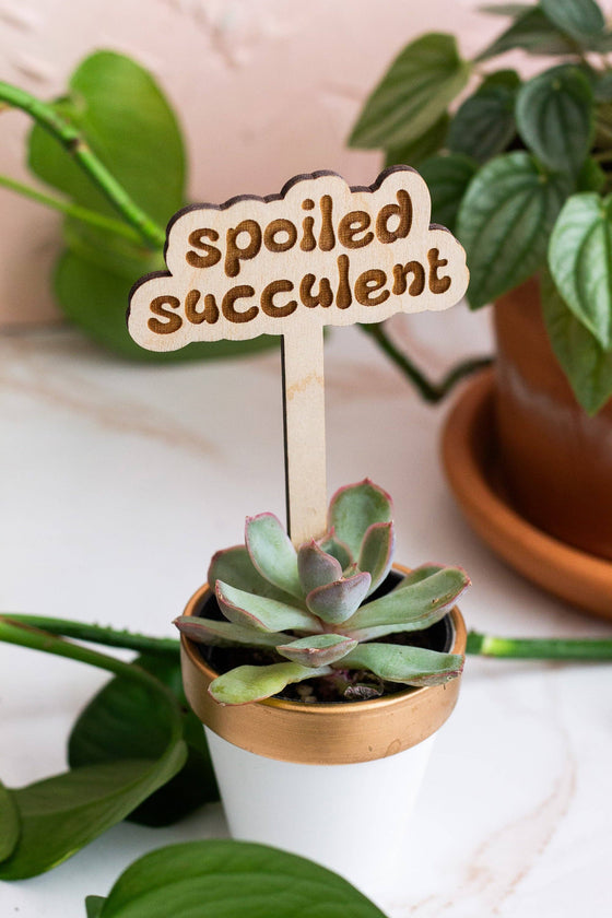 Retro Funny Wooden Plant Markers: Crazy plant lady