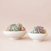 Birdie Bowl | Vintage White : 6.25 inch