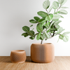 ORBIS Planter: Natural Wood / 5 Inches