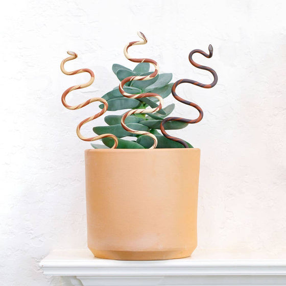 Plant Snake Stake: Chocolate + Terracotta / Medium