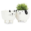 Sm Cat on Legs Planter-3.5" H