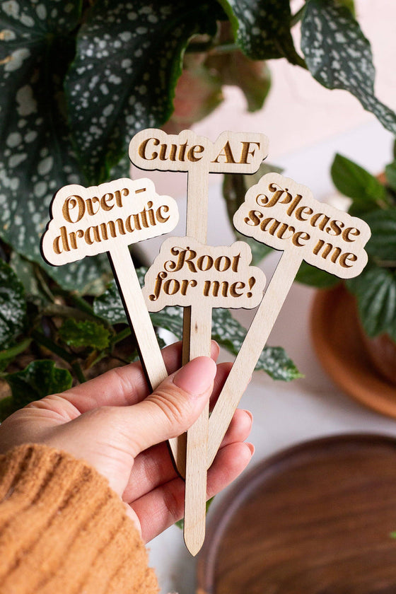 Funny Wooden Plant Markers: Stayin' Alive