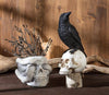 Small Skull Planter with Snake-4.5"H