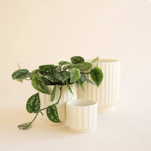  Monroe Pot | Vintage White : 6.75 inch