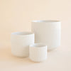 Lucy Pot | White : 4.5 inch