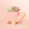 Turtle Planter - Pink: M