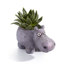  Hazel, the House Hippo Blobhouse Planter