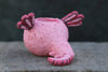 Alexander Axolotl Baby Salamander Blobhouse Planter