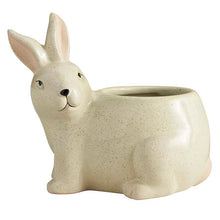  Blue Rabbit Planter