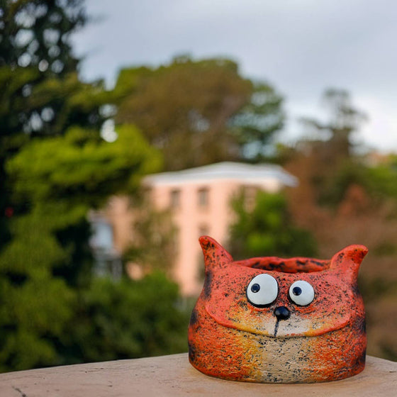 Harley Tiger Cat Blobhouse Planter