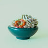 Birdie Bowl | Rainforest: 6.25 inch