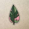 Sticker - Pink Princess Philodendron
