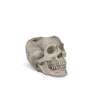 Sm Skull Planter/Tealite Holder-3"H