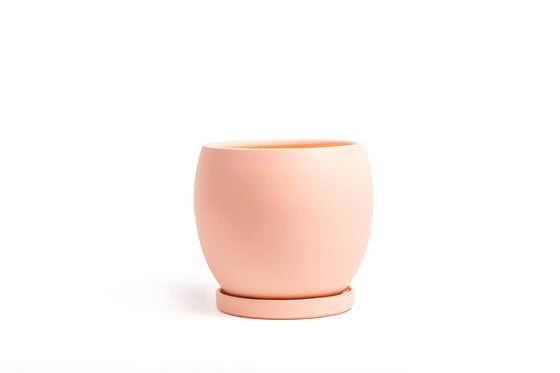 10" Bollé Pots w/Water Saucers - 2pc/cspk: Blush