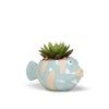 Small Fish Planter-Blue-1.5"D