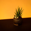 Black Cat - Reggie - Blobhouse Planter