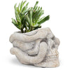 Small Skull Planter with Snake-4.5"H